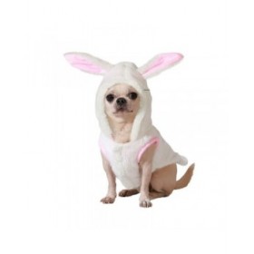 Costume per Cane Taglia M Coniglio