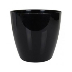 Vaso Dem (23 x 22 cm)