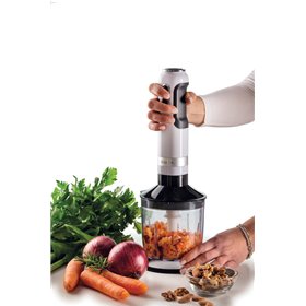 Ariete 602 Frullatore a immersione Moderna, 1000W, 10 velocità + turbo, Accessori inclusi, Bianco