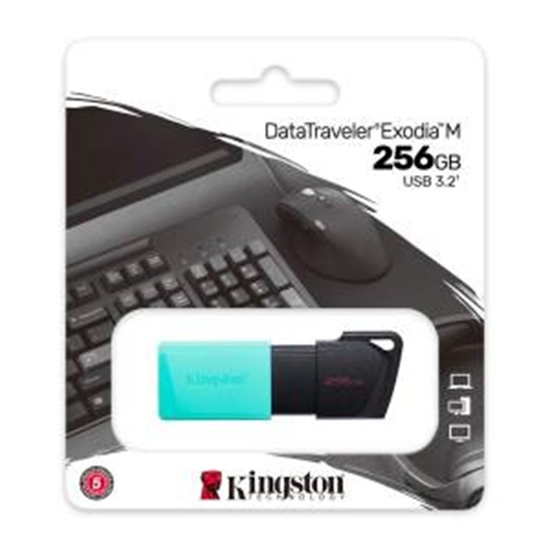 Kingston Pendrive USB-A 3.2 256GB DTXM/256GB Nero/Azzurro - DTXM/256GB