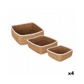 Set di Cestini Privilege   vimini 17 cm 3 Pezzi