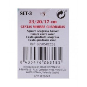 Set di Cestini Privilege   vimini 17 cm 3 Pezzi