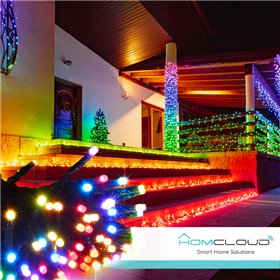 Stringa di 200 Luci decorative Smart a Led RGB-IC Wi-Fi+Bluetooth 20M