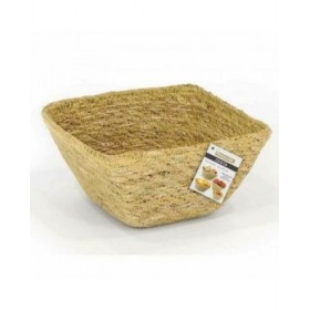 Cestino Multiuso Privilege Erba di mare Quadrato 16 x 16 x 8 cm (24 Unità)