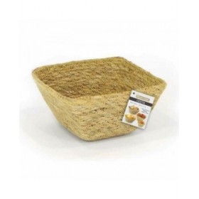 Cestino Multiuso Privilege Erba di mare Quadrato 12 x 12 x 7 cm (24 Unità)
