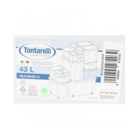 Scatola con Ruote per Organizzare Tontarelli 59 x 38 x 29 cm (6 Unità)
