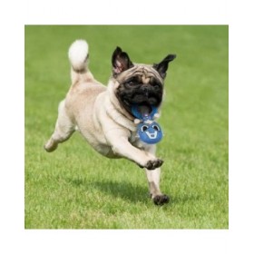 Giocattoli per cani The Avengers