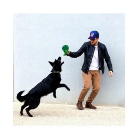 Giocattoli per cani The Avengers