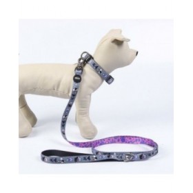 Collare per Cani Disney