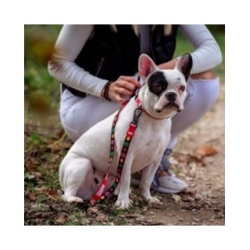 Guinzaglio per Cani Marvel