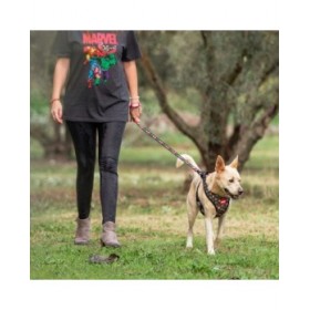 Guinzaglio per Cani Marvel