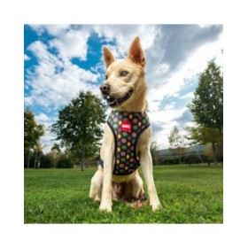 Imbracatura per Cani Marvel M/L