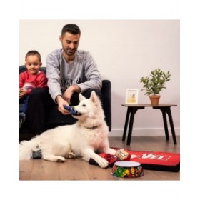 Cuccia per Cani Marvel Multicolore