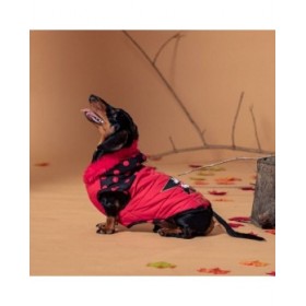 Cappotto per Cani Minnie Mouse Rosso L