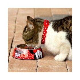 Ciotola per cani Minnie Mouse Melammina 410 ml Multicolore