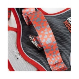 Imbracatura per Cani Minnie Mouse L/XL