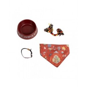 Set Regalo Harry Potter Rosso Scuro 21,0 x 21,0 x 8,8 cm Cane 4 Pezzi