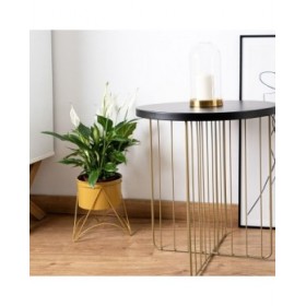 Supporto per Vaso Vinthera Moa Acciaio 19 x 20 cm