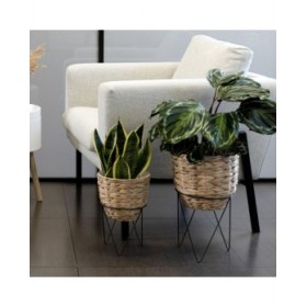 Vaso con supporto Vinthera Moa Beige Metallo Giacinto d'acqua 20 x 30 cm 25 x 40 cm 2 Pezzi
