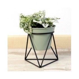 Vaso con supporto Vinthera Moa Verde Metallo 14,5 x 12,5 x 15 cm (12 Unità)