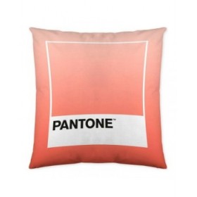 Fodera per cuscino Ombre B Pantone Localization-B086JQB7QD Reversibile 50 x 50 cm