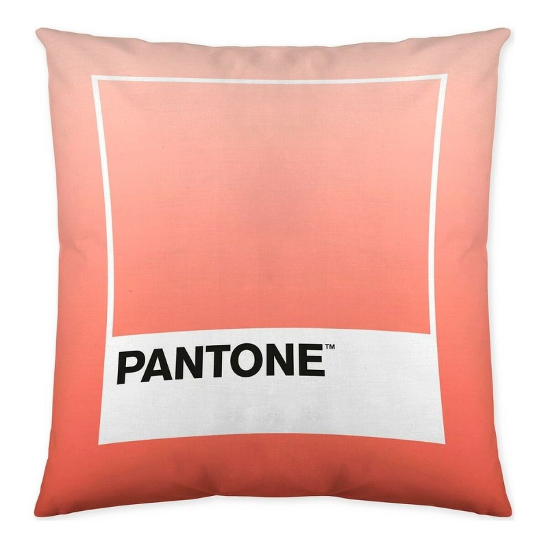 Fodera per cuscino Ombre B Pantone Localization-B086JQB7QD Reversibile 50 x 50 cm
