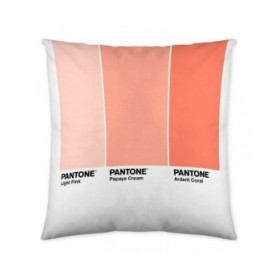 Fodera per cuscino Ombre B Pantone Localization-B086JQB7QD Reversibile 50 x 50 cm