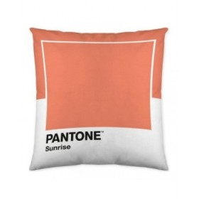Fodera per cuscino Wide C Pantone Localization-B086JPW2VB Reversibile 50 x 50 cm