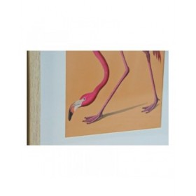 Quadro DKD Home Decor S3013651 Uccelli Tropicale (35 x 2 x 45 cm) (4 Unità)