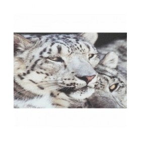 Quadro DKD Home Decor Tela Tigre Pino (135 x 2.5 x 45 cm) (2 pcs)