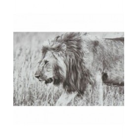 Quadro DKD Home Decor 92,5 x 3,5 x 32 cm Coloniale Giungla (3 Pezzi)