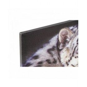 Quadro DKD Home Decor Tigre Coloniale (80 x 1,8 x 40 cm) (2 Unità)