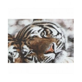 Quadro DKD Home Decor Tigre Coloniale (80 x 1,8 x 40 cm) (2 Unità)