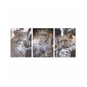 Quadro DKD Home Decor Leopardo Coloniale (50 x 1,8 x 70 cm)
