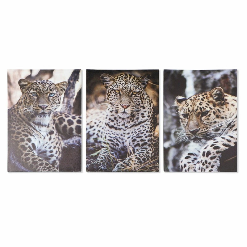 Quadro DKD Home Decor Leopardo Coloniale (50 x 1,8 x 70 cm)
