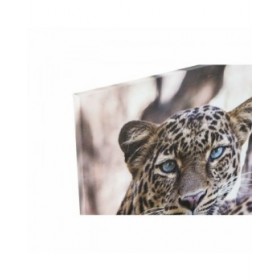 Quadro DKD Home Decor Leopardo Coloniale (50 x 1,8 x 70 cm)