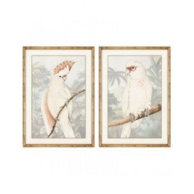 Quadro DKD Home Decor Pappagallo Tropicale 50 x 3 x 70 cm (2 Unità)