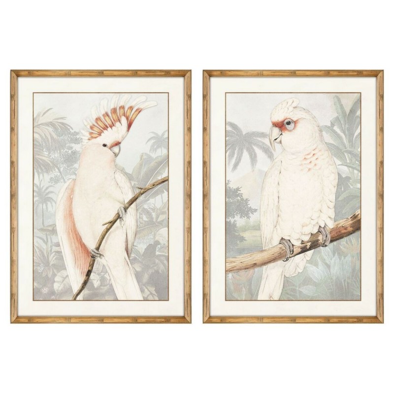 Quadro DKD Home Decor Pappagallo Tropicale 50 x 3 x 70 cm (2 Unità)