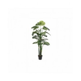 Pianta Decorativa DKD Home Decor Polipropilene (PP) EVA (90 x 90 x 200 cm)
