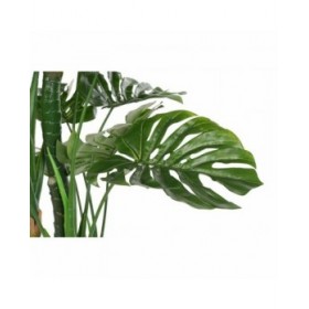 Pianta Decorativa DKD Home Decor Polipropilene (PP) EVA (90 x 90 x 200 cm)