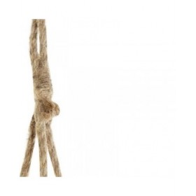 Vaso DKD Home Decor ‎S3024003 Marrone Corda Legno di  paulownia (16 x 16 x 53 cm)