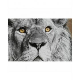 Quadro DKD Home Decor 67 x 3 x 93 cm Coloniale Giungla (3 Pezzi)