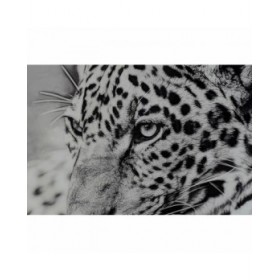 Quadro DKD Home Decor 100 x 2,5 x 100 cm Leopardo Coloniale (2 Unità)