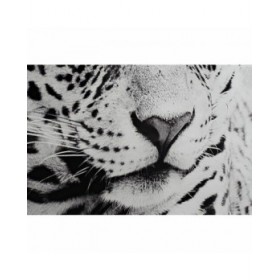 Quadro DKD Home Decor 100 x 2,5 x 100 cm Leopardo Coloniale (2 Unità)