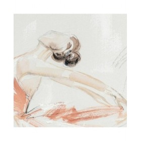 Quadro DKD Home Decor 80 x 3,7 x 100 cm Ballerina Classica Romantico (2 Unità)