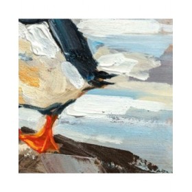Quadro DKD Home Decor Uccelli Mediterraneo (45 x 2,7 x 45 cm) (2 Unità)