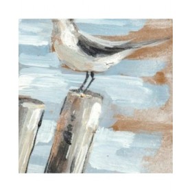 Quadro DKD Home Decor Uccelli Mediterraneo (45 x 2,7 x 45 cm) (2 Unità)