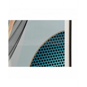 Quadro DKD Home Decor Piume 80 x 3 x 160 cm