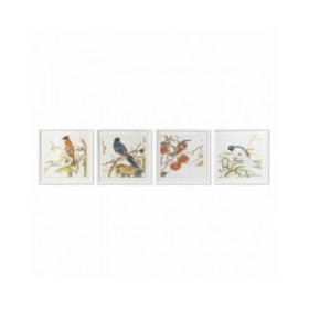 Quadro DKD Home Decor 60 x 2,5 x 60 cm Uccello Shabby Chic (4 Pezzi)
