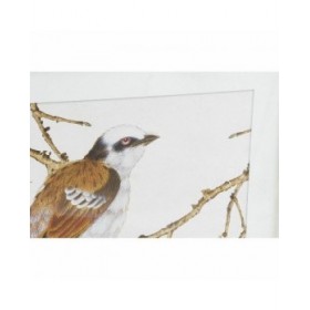 Quadro DKD Home Decor 60 x 2,5 x 60 cm Uccello Shabby Chic (4 Pezzi)